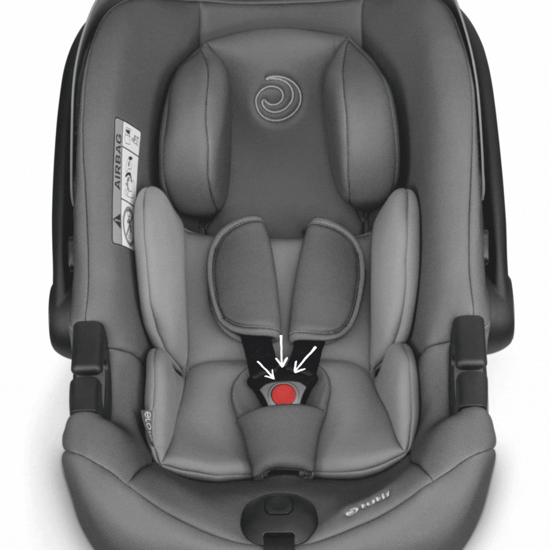 3-point-safety-belt-system-2
